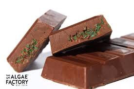 Spirulina Chocolate